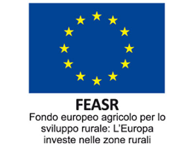 FEASR